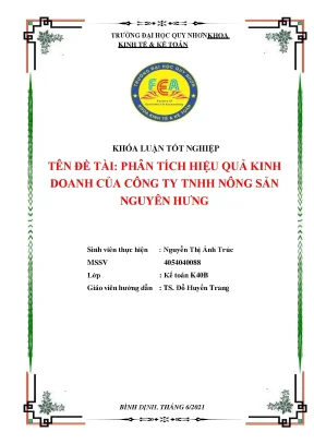 Phân tích hiệu quả kinh doanh của công ty tnhh nông sản nguyên hưng