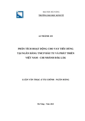Luận văn thạc sĩ phân tích hoạt động cho vay tiêu dùng tại ngân hàng tmcp đầu tư và phát triển việt nam chi nhánh đắk lắk vũ thành an