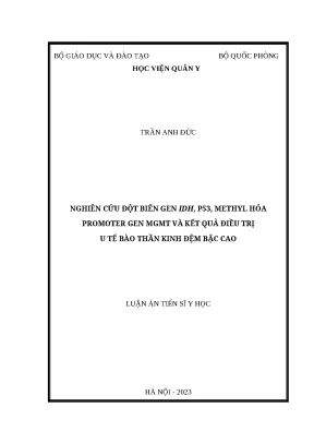 Luận án tiến sĩ file word nghiên cứu đột biến gen idh p53 methyl hóa promoter gen mgmt và kết quả điều trị u tế bào thần kinh đệm bậc cao