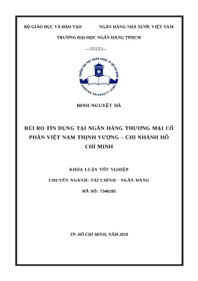 0316 rủi ro tín dụng tại nh tmcp việt nam thịnh vượng chi nhánh hcm khóa luận tốt nghiệp đại học đinh nguyệt hà tp hcm đh nh 2018 vi 53 tr