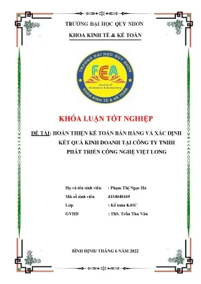 Hoàn thiện kế toán bán hàng và xác định kết quả kinh doanh tại công ty tnhh phát triển công nghệ việt long