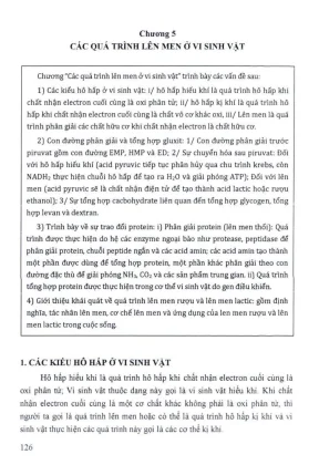 Giáo trình vi sinh vật học phần 2