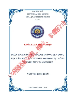 Phân tích các yếu tố ảnh hưởng đến động lực làm việc của người lao động tại công ty tnhh mtv takson huế