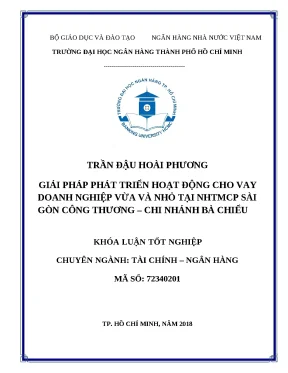 1079 giải pháp phát triển hoạt động cho vay dn vừa và nhỏ tại nhtmcp sài gòn công thương chi nhánh bà chiểu khóa luận tốt nghiệp đại học trần đậu hoài ph