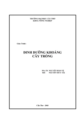 507119
