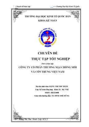 Hoàn thiện kế toán bán hàng và xác định kết quả kinh doanh tại công ty cổ phần thương mại chống mối và côn trùng việt nam