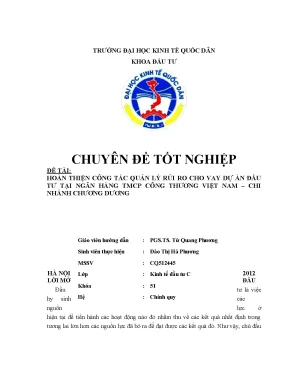 Hoàn thiện công tác quản lý rủi ro cho vay dự án đầu tư tại ngân hàng tmcp công thương việt nam chi nhánh chương dương