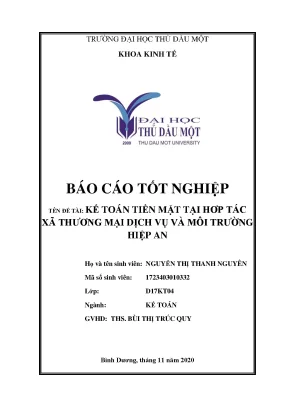 Thực trạng kế toán tiền mặt tại hợp tác xã thương mại dịch vụ và môi trường hiệp an khóa luận tốt nghiệp