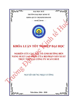 Nghiên cứu các yếu tố ảnh hưởng đến năng suất lao động của bộ phận sản xuất trực tiếp tại công ty scavi huế