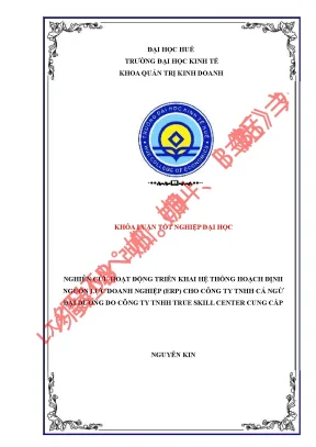 Nghiên cứu hoạt động triển khai hệ thống hoạch định nguồn lực doanh nghiệp erp cho doanh nghiệp công ty tnhh cá ngừ đại dương do công ty tnhh true skill center cung cấp