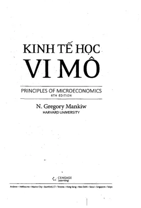 Review vietnamese version of principles of microeconomics mankiw 9th edition