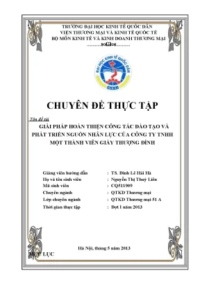 Giải pháp hoàn thiện công tác đào tạo và phát triển nguồn nhân lực của công ty tnhh một thành viên giày thượng đình