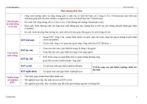 Tổng hợp đầy đủ ký sinh trùng dành cho dược sĩ đại học cao đẳng