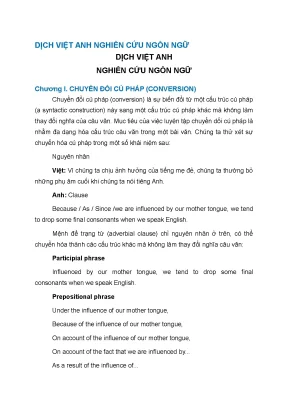 Dịch việt anh nghiên cứu ngôn ngữ