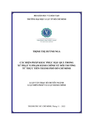 Các biện pháp khắc phục hậu quả trong xử phạt vi phạm hành chính về môi trường từ thực tiễn thành phố hồ chí minh