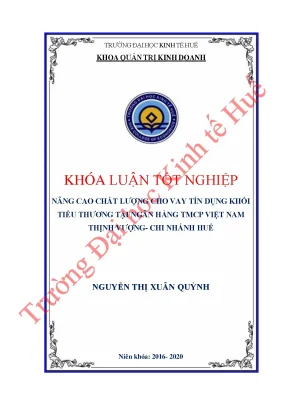 Nâng cao chất lượng cho vay tín dụng khối tiểu thương tại ngân hàng tmcp việt nam thịnh vượng chi nhánh huế
