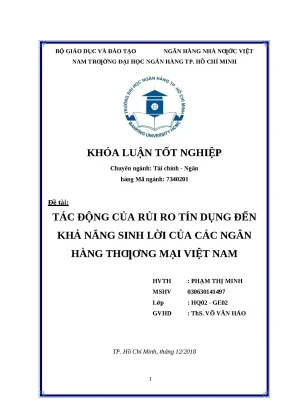0204 tác động của rủi ro tín dụng đến khả năng sinh lời của các nhtm việt nam khóa luận tài chính nh phạm thị minh tp hcm đh nh hcm 2018 tr