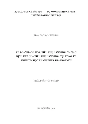 Kế toán hàng hóa tiêu thụ hàng hóa và xác định kết quả tiêu thụ hàng hóa tại công ty tnhh tin học thanh niên thái nguyên