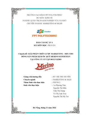 Giải pháp chiến lược marketing mix cho dòng sản phẩm kem ốc quế merino superteen tại công ty cp tập đoàn kido