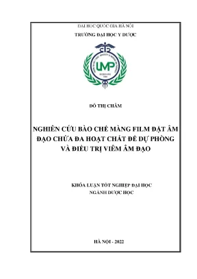 Khóa luận tốt nghiệp nghiên cứu bào chế màng film đặt âm đạo chứa đa hoạt chất để dự phòng và điều trị viêm âm đạo