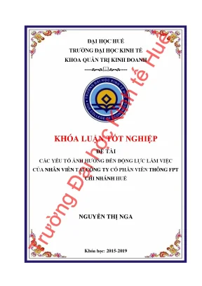 Các yếu tối ảnh hưởng đến động lực làm việc của nhân viên tại công ty cổ phần viễn thông fpt chi nhánh huế