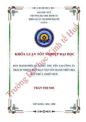 Đẩy mạnh hiệu quả tiêu thụ tôn tại công ty trách nhiệm hữu hạn nguyễn danh trên địa bàn thừa thiên huế