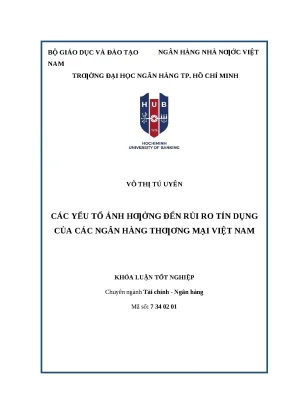 Khóa luận tốt nghiệp các yếu tố ảnh hưởng đến rủi ro tín dụng của các ngân hàng thương mại việt nam 2