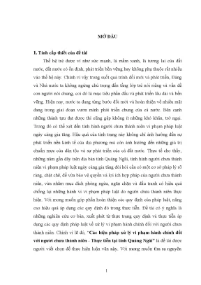 Luận văn các biện pháp xử lý vi phạm hành chính đối với người chưa thành niên thực tiễn tại tỉnh quảng ngãi
