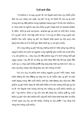 Luận văn tốt nghiệp 15