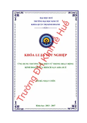 Ứng dụng thương mại điện tử trong hoạt động kinh doanh của khách sạn asia huế