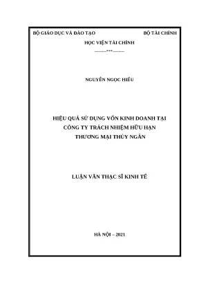 Luận văn thạc sỹ hiệu quả sử dụng vkd tại ct tnhh tm thủy ngân