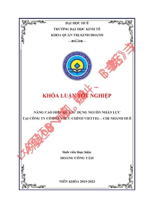 Giải pháp nhằm nâng cao hiệu quả sử dụng nguồn nhân lực tại công ty cổ phần bưu chính viettel chi nhánh huế