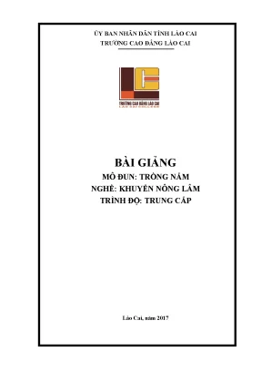 Giáo trình trồng nấm nghề khuyến nông lâm trình độ trung cấp