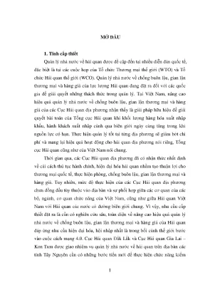 Luận văn quản lý nhà nước về chống buôn lậu gian lận thương mại và hàng giả từ thực tiễn của lực lượng hải quan các tỉnh vùng tây nguyên