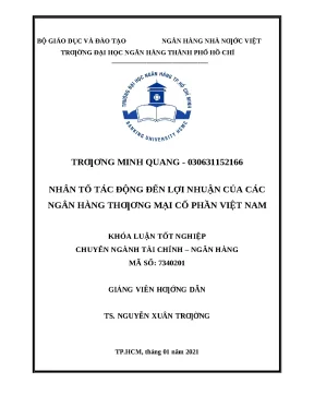 0620 nhân tố tác động đến lợi nhuận của các nhtm cp việt nam khóa luận tài chính nh trương minh quang nguyễn xuân trường tp hcm đh nh hcm 2021 xiv 7