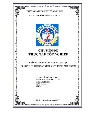 Chuyên đề thực tập giải pháp gia tăng lợi nhuận tại công ty cổ phần sản xuất và thương mại becon