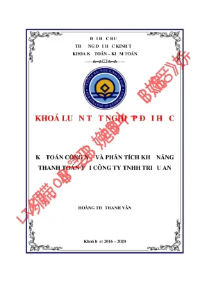 Khóa luận tốt nghiệp kế toán công nợ và phân tích khả năng thanh toán tại công ty tnhh triệu an