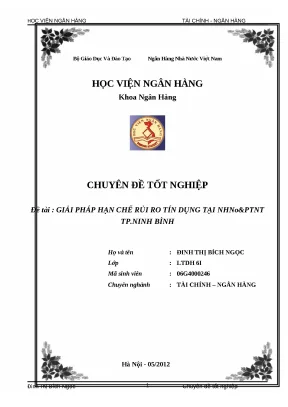 Khóa luận tốt nghiệp giải pháp hạn chế rủi ro tín dụng tại nhno ptnt tp ninh bình