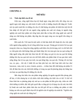 Luận văn mít sấy thăng hoa
