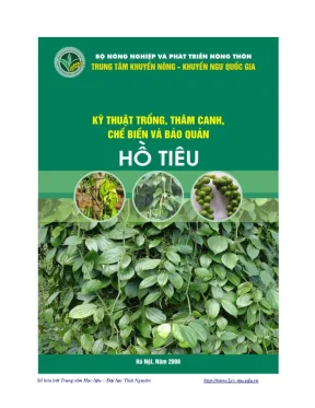 Kỹ thuật trồng thâm canh chế biến và bảo quản hồ tiêu