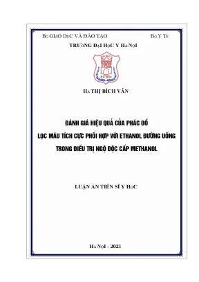 Luận án đánh giá hiệu quả của phác đồ lọc máu tích cực phối hợp với ethanol đường uống trong điều trị ngộ độc cấp methanol