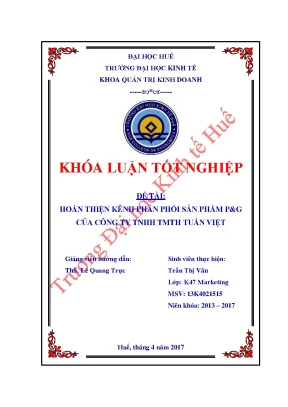 Hoàn thiện kênh phân phối sản phẩm pg của công ty tnhh tmth tuấn việt