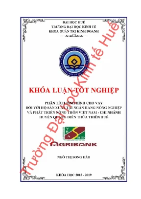 Phân tích tình hình cho vay đối với hộ sản xuất tại ngân hàng nông nghiệp và phát triển nông thôn việt nam chi nhánh huyện quảng điền thừa thiên huế