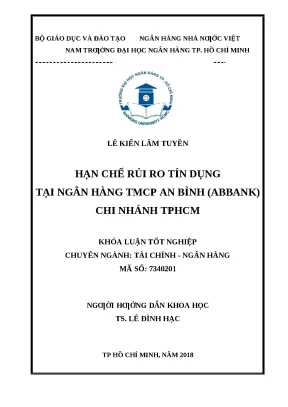 1060 hạn chế rủi ro tín dụng tại nh tmcp an bình abbank chi nhánh khóa luận tốt nghiệp đại học lê kiến lâm tuyền tp hcm đh nh 2018 52 tr