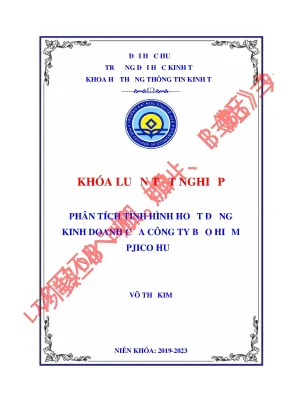 Phân tích tình hình hoạt động kinh doanh của công ty bảo hiểm pjico huế