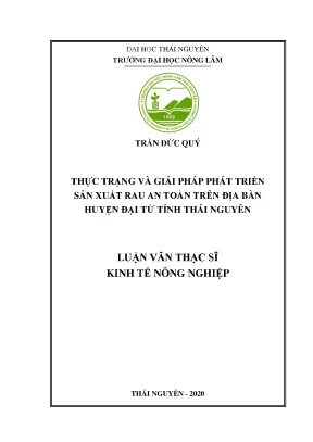 Luận văn thạc sĩ hay thực trạng và giải pháp phát triển sản xuất rau an toàn trên địa bàn huyện đại từ tỉnh thái nguyên