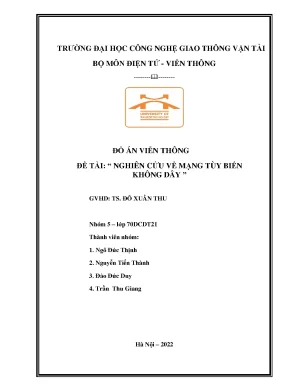 Nghiên cứu mạng tùy biến không dây