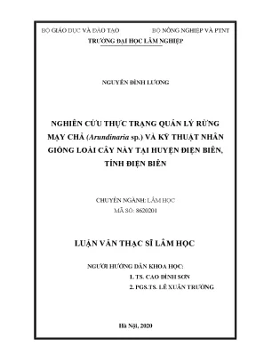 Luận văn thạc sĩ hay nghiên cứu thực trạng quản lý rừng mạy chả arundinaria sp và kỹ thuật nhân giống loài cây này tại huyện điện biên tỉnh điện biên