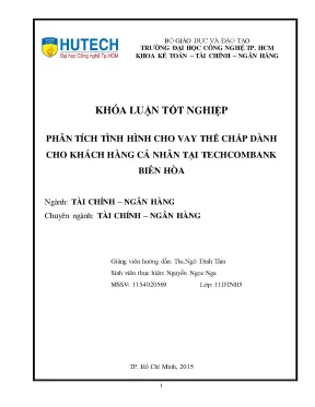 Luận văn thạc sĩ hay phân tích tình hình cho vay thế chấp dành cho khách hàng cá nhân tại techcombank biên hòa