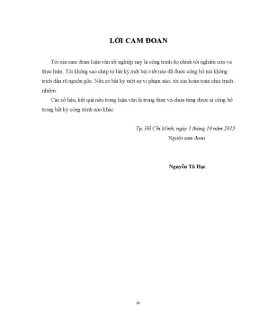 Luận văn thạc sĩ nghiên cứu phát triển lò đốt công nghiệp sử dụng nhiên liệu sinh khối trấu phục vụ nung gạch
